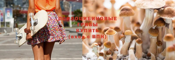 СК Инта