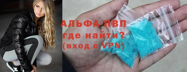 СК Инта