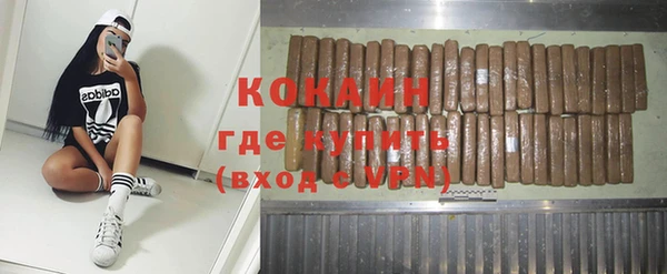 mdpv Инсар