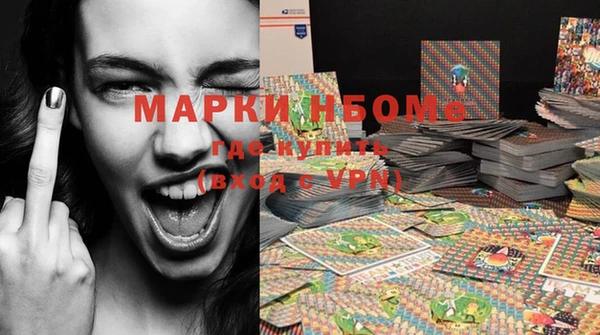 крисы Каменка