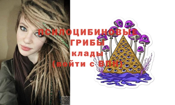 хмурый Иннополис