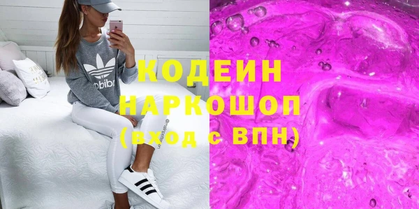 СК Инта