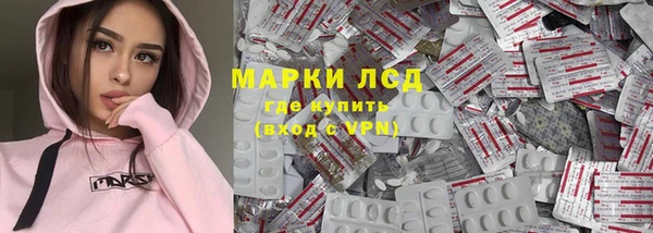 СК Инта