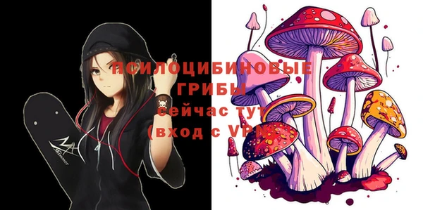 СК Инта